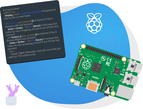 Raspberry Pi coding